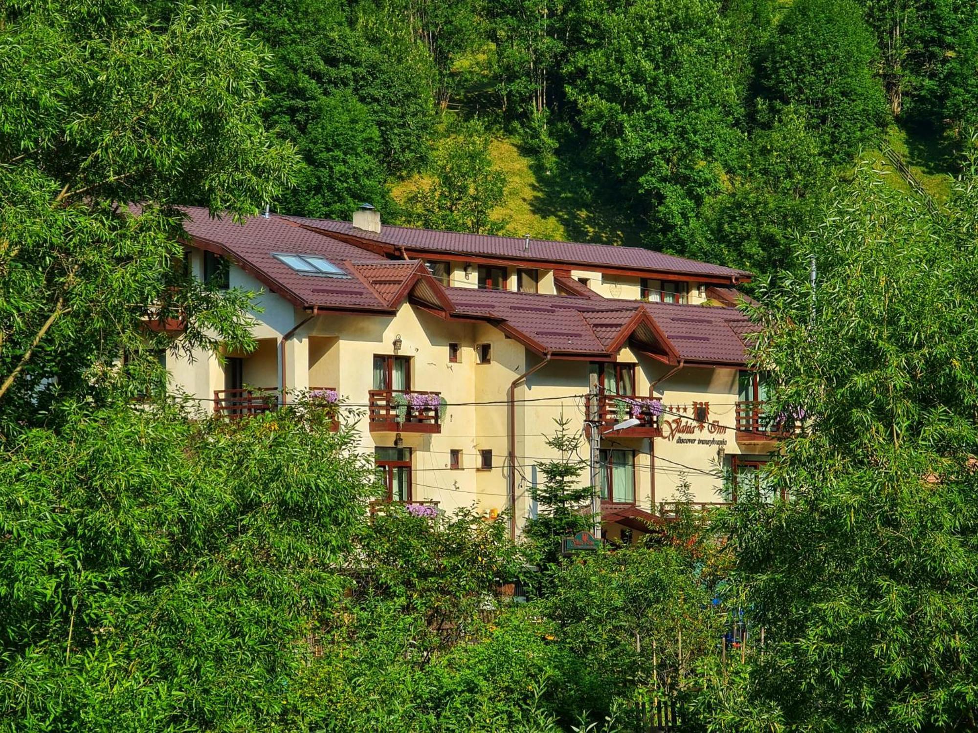 Pensiunea Vlahia Inn Моечиу-де-Сус Экстерьер фото